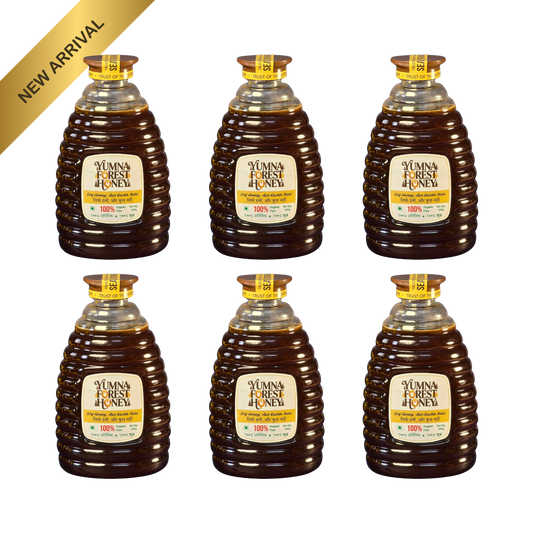 Yumna Forest Honey 500g x 6 (3 kg)