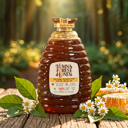 Yumna Forest Honey 500g x 6